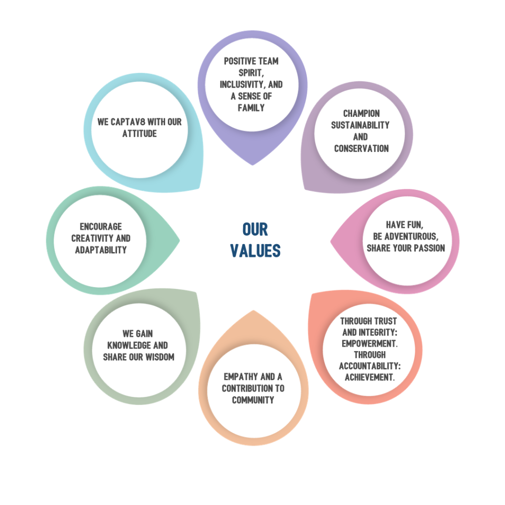 CaPTA Values